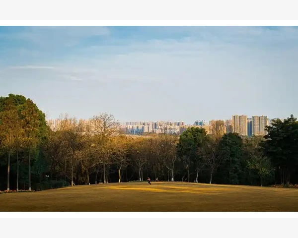 中医针灸治疗突聋有用吗？