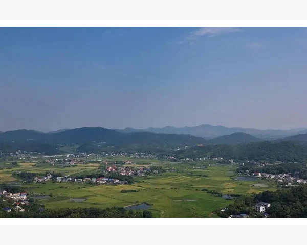 失眠与脾胃虚弱的调理方法